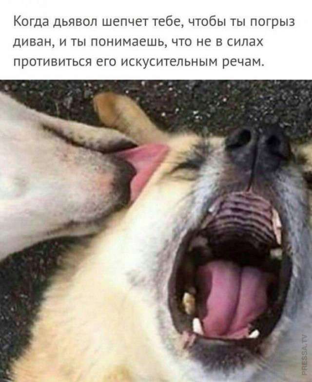 Немного картинок для настроения 07.11.20