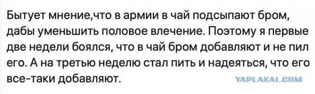 Бредзона 29.11.20
