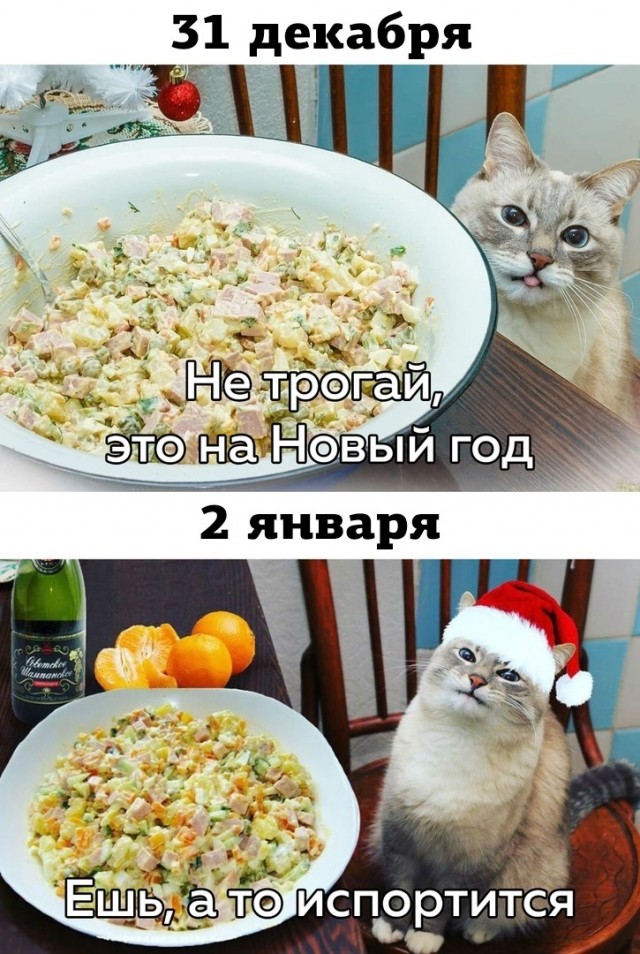 Кретинизмы из сети 02.01.2021. Типа новогодние