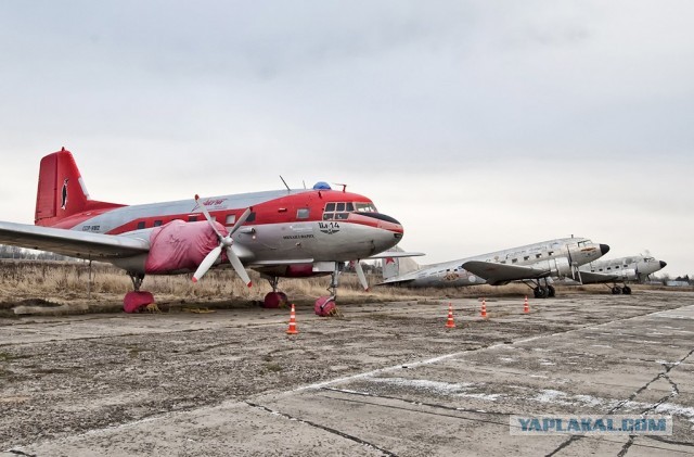«Вечный Дуглас», 85 лет со дня полета DC-3 Douglas