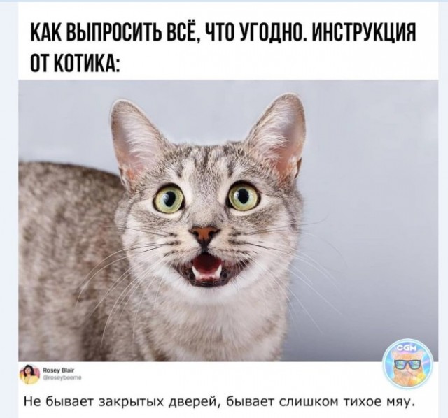 Картинки и мемы для настроения 015
