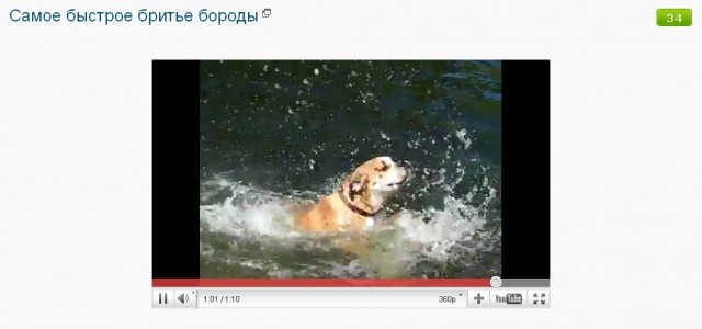 Умеет плавать, но кое как