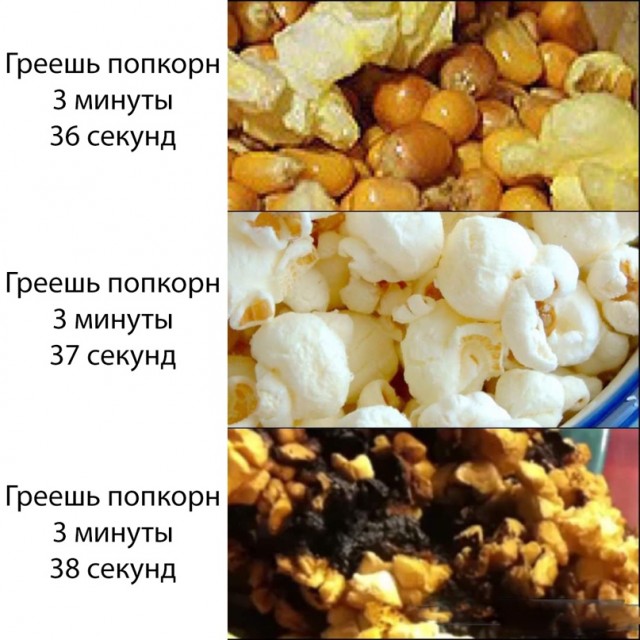 Весёлый полтишок 5.04