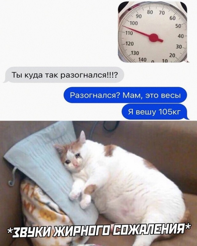 Весёлый полтишок 8.06.21