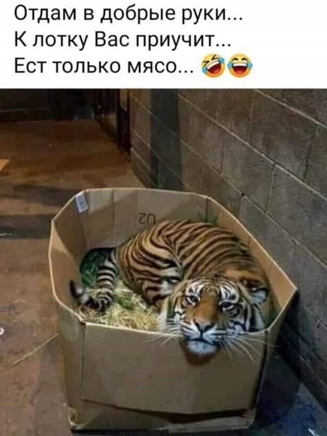Так себе картинки 27.07.21