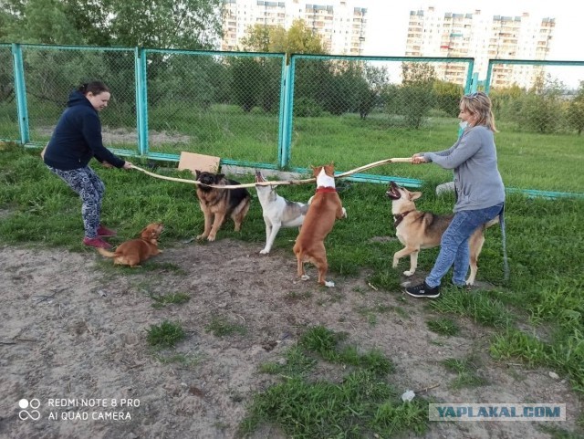 Парень который всегда рядом