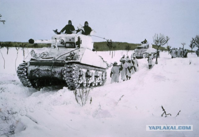 Короли перевоплощения: 16 шедевров военной маскировки