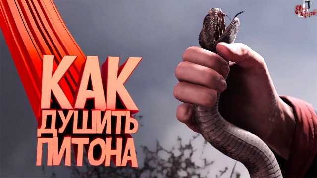 Изучаем Python в 40+