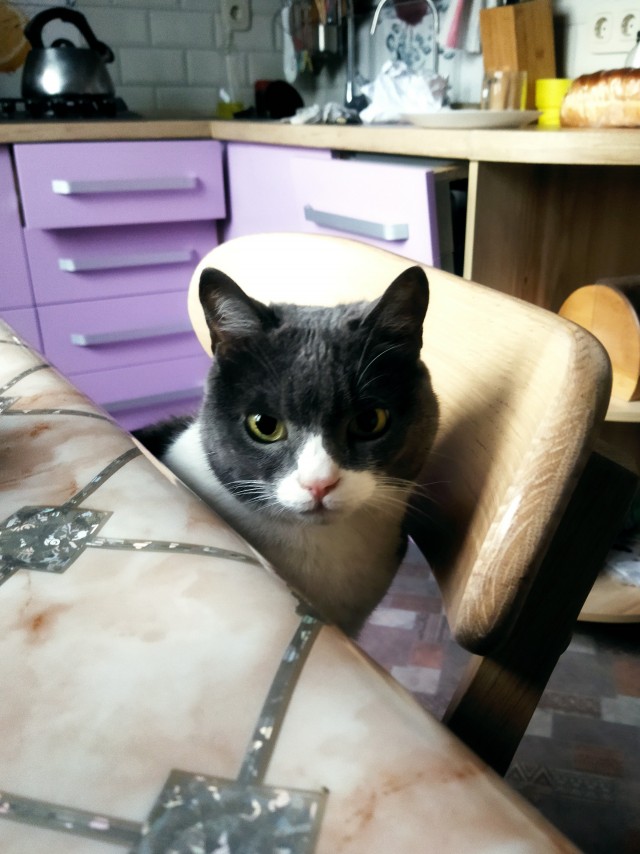 Котовторник 05.10.21 г