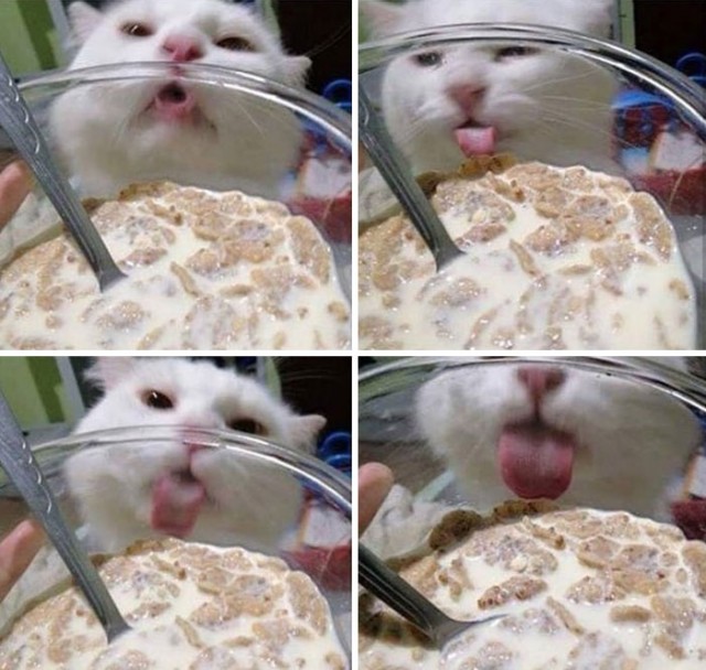 16 случаев, когда всё пошло наперекосяк и надежды на хороший результат остались в прошлом