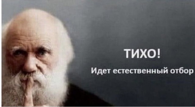 Ну что ж...карты раскрыты: Попова назвала условие для отмены QR-кодов