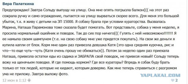 Топ громких расправ над живодёрами