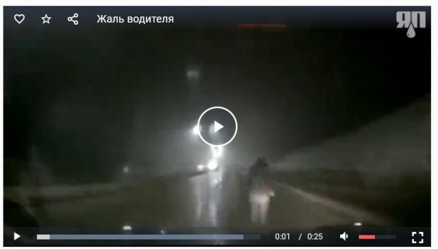 Жалко водителя