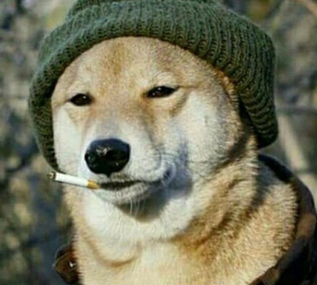 Тормози, я ща я те втащу
