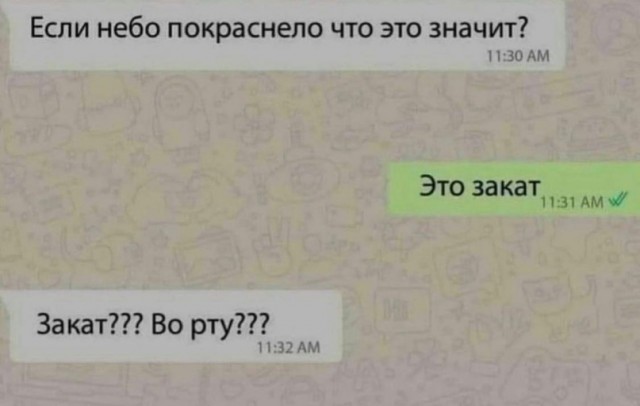 Человек собаке друг и другие картинки и мемы  под настроение