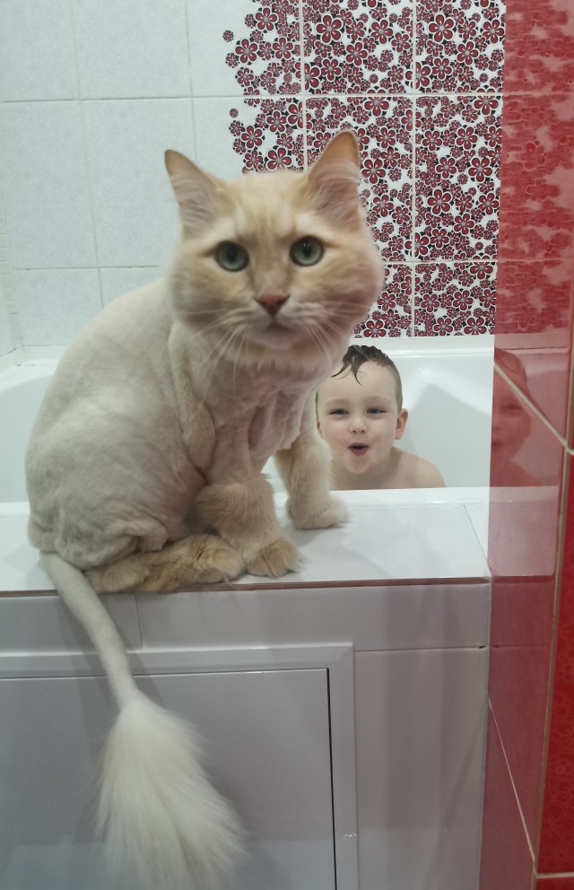 Котовторник 25.01.22