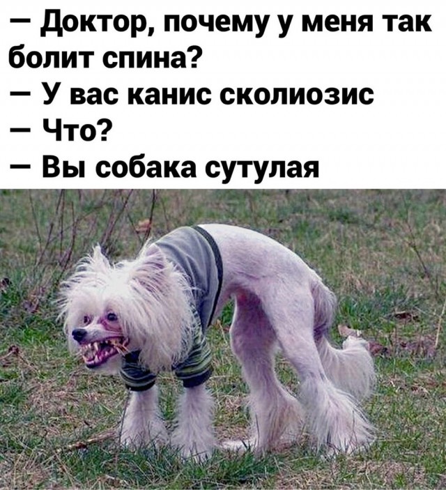 Смеха ради, здоровья для! Vol.2