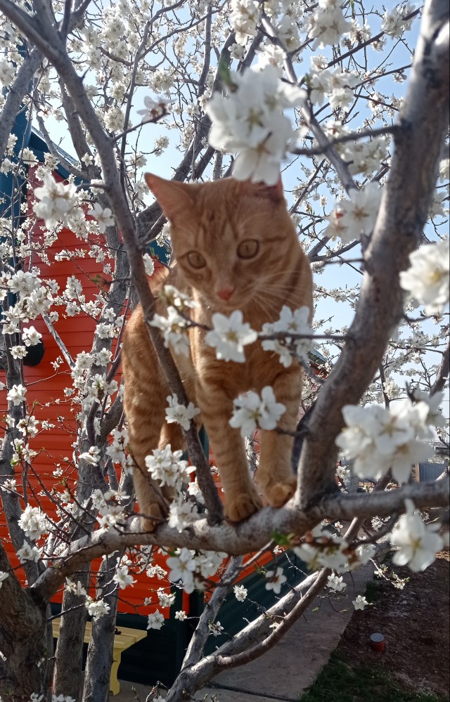 А что, уже вторник?