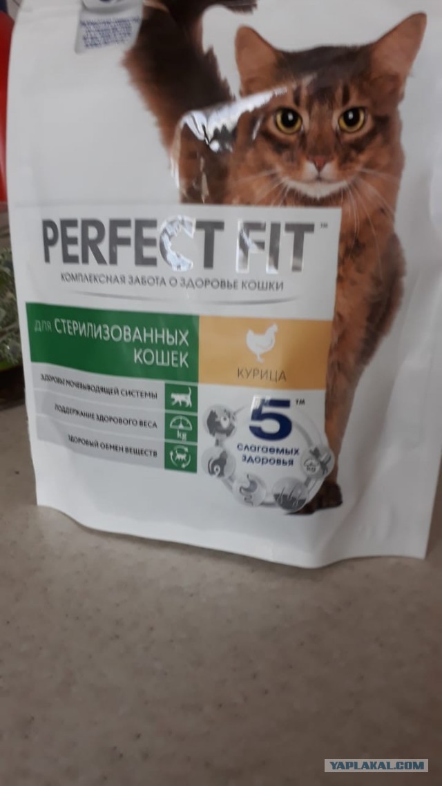 Котоманы, как не разориться на кормежке котов?