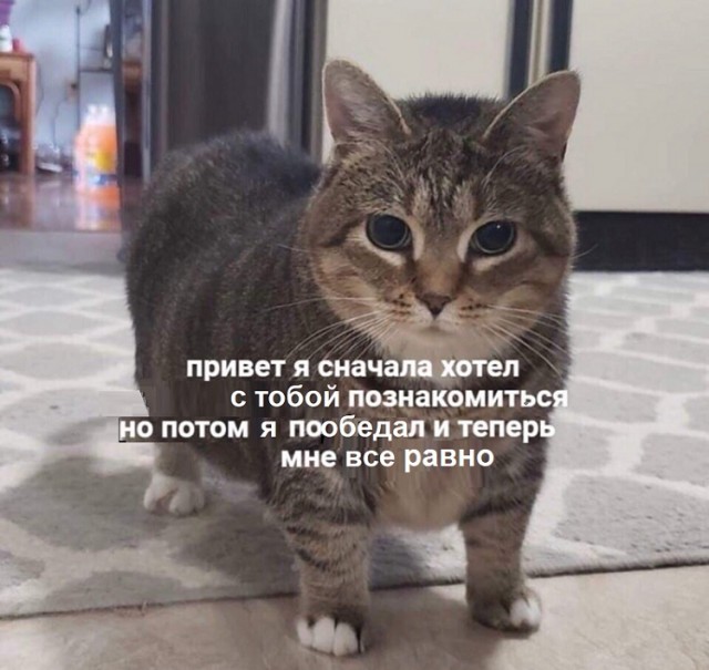 Картинки с надписями и всякие жизненные фразы