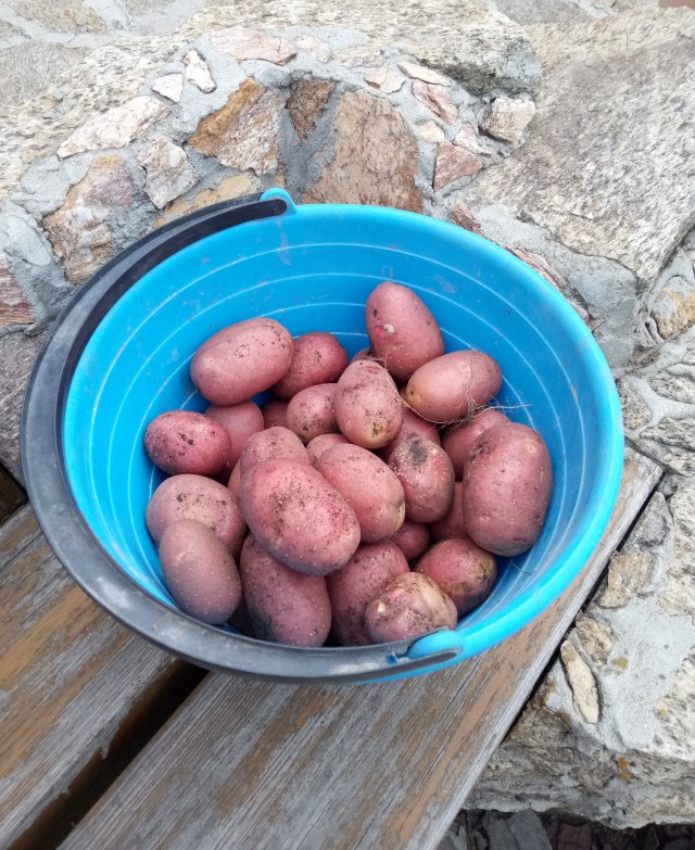 Дела огородные