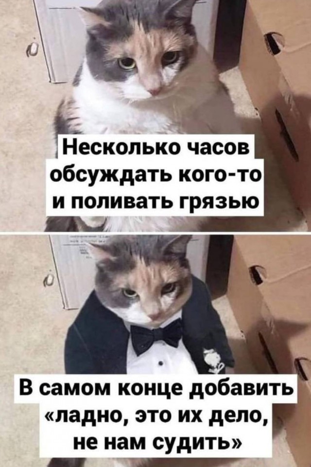 Картинки аморальные и всякие разные - 37