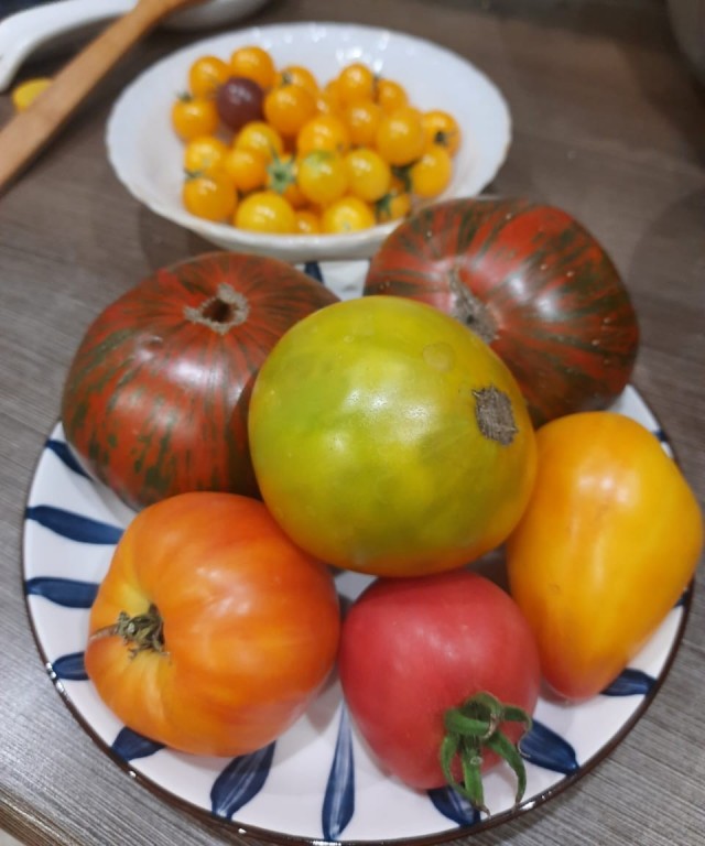 Первые ночные заморозки! Пора хвастаться урожаем, Дачники! Дела огородные