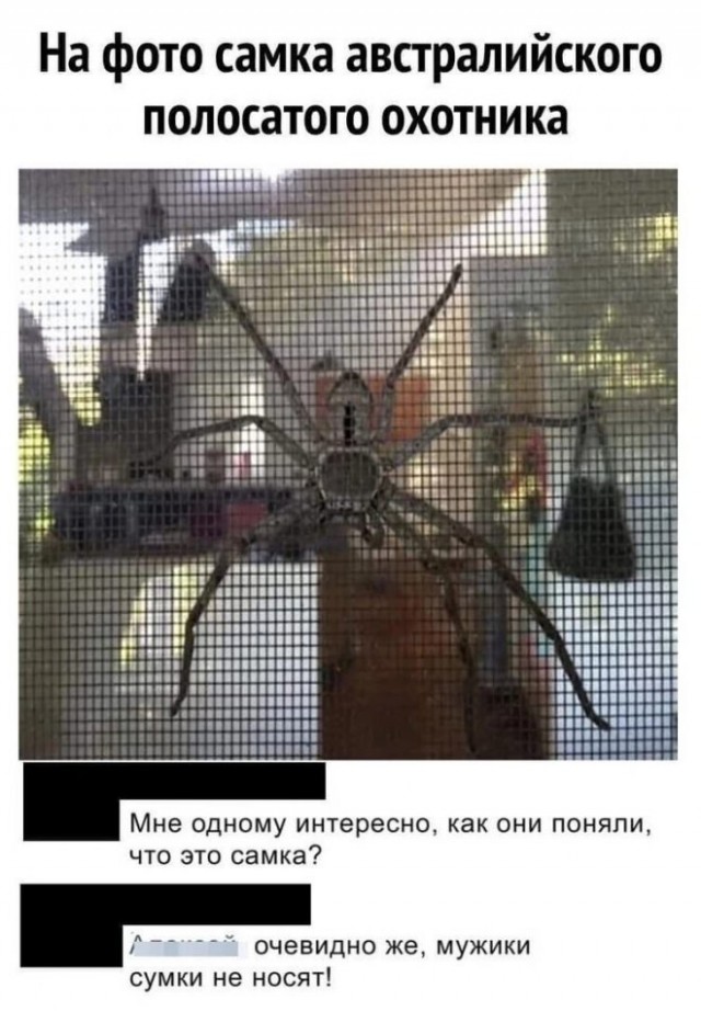 Картинки и мемы, всем хороших выходных