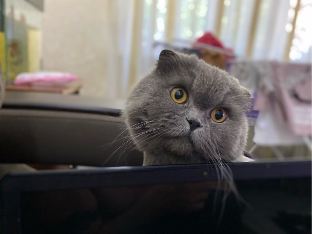 Жрешь?