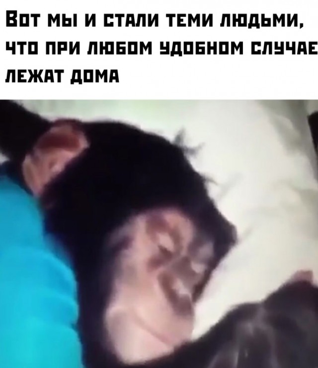 Немного картинок для настроения