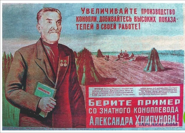 Прикольные и просто красивые картинки 31.01.2023