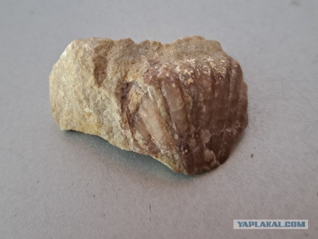 Mineralientage München 2018