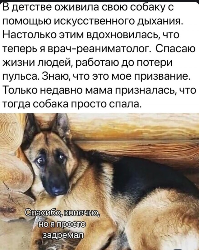Картинки и мемы, всяко разно - 171