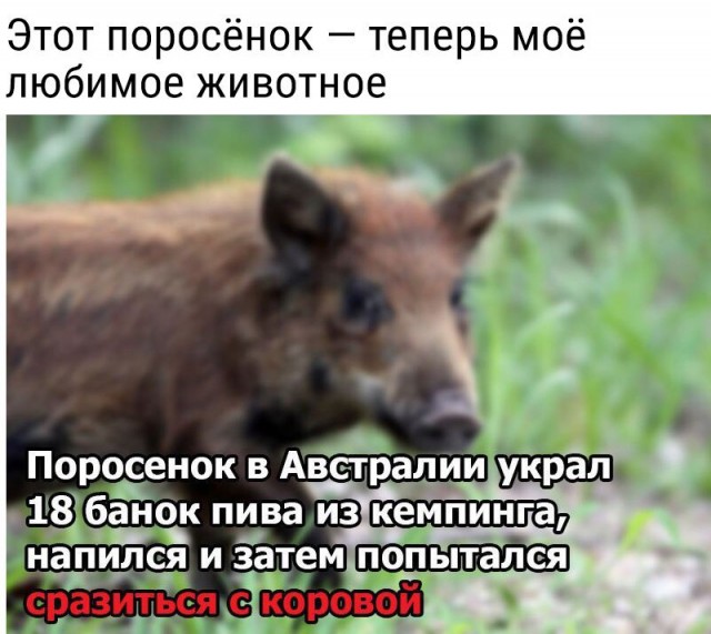Спустя два дня