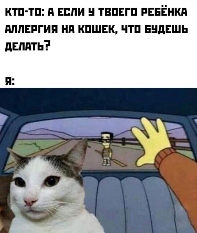 Картинки и мемы для настроения - 187