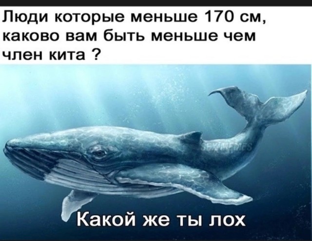 Мужчина просто обязан отказать женщине в сексе в 3-х случаях