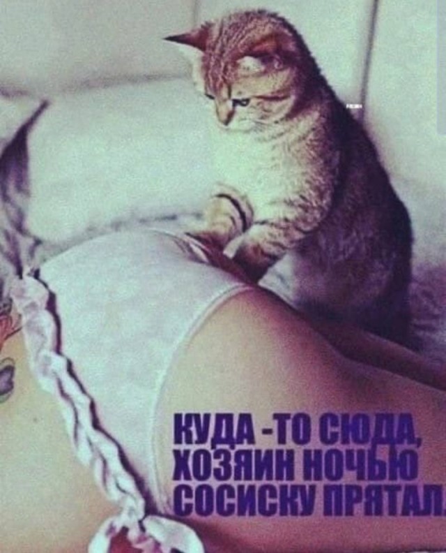 Немного картинок для взрослых 15.07.23