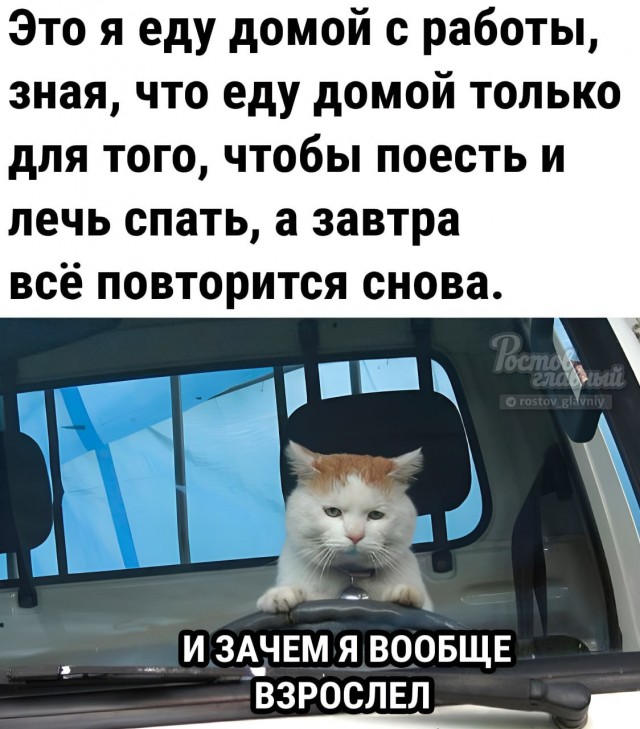 Так себе картинки 17.08.23