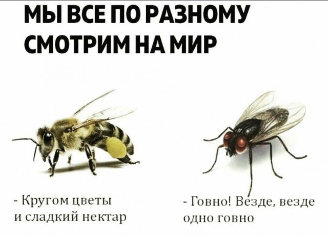 Герой!