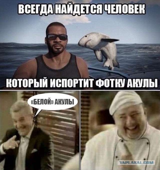 Немного Тиктока о расизме