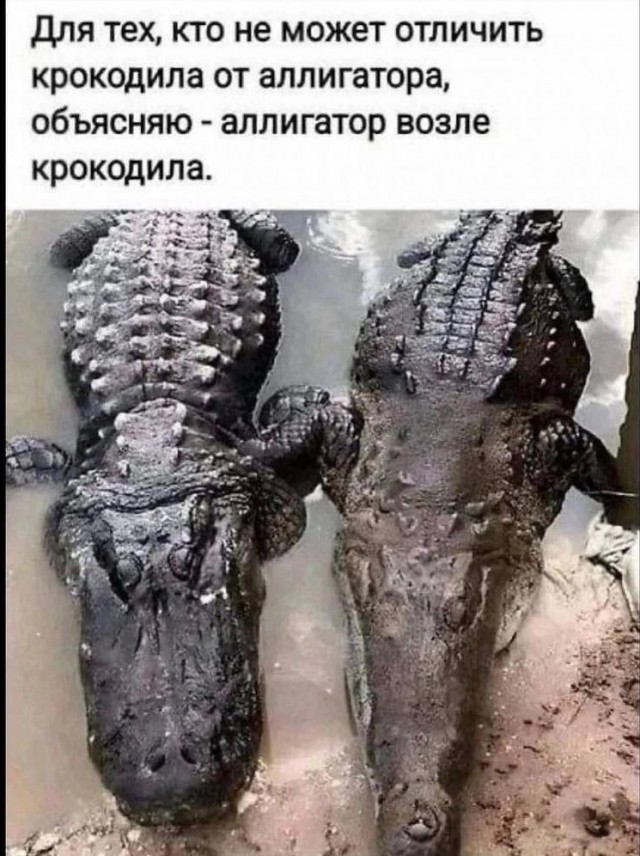 Всего понемногу. От 18.12.23