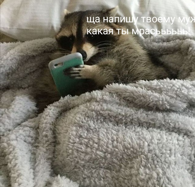 Ну вот. Я бомж