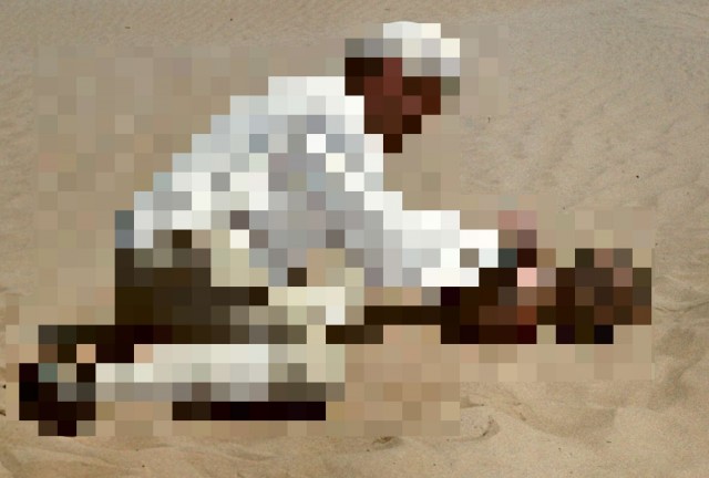 Тест на мемолога