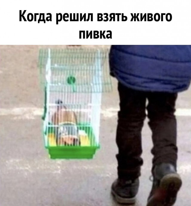 Алкопост