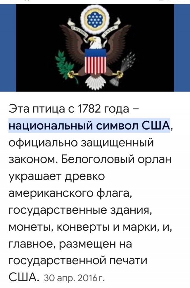Теперь твоя очередь