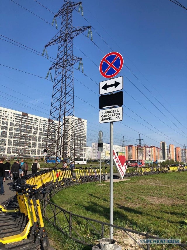 Мэр Краснодара запретил электросамокаты в парках