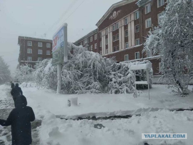 Май, Снег, Москва