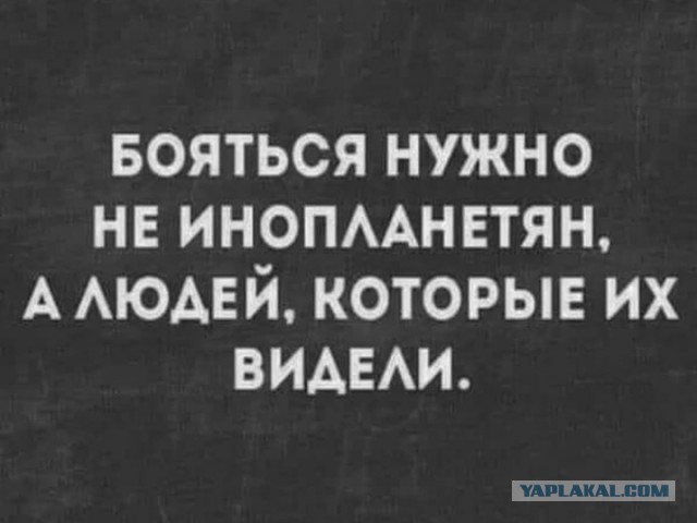 Весёлый полтишок 02.07.24