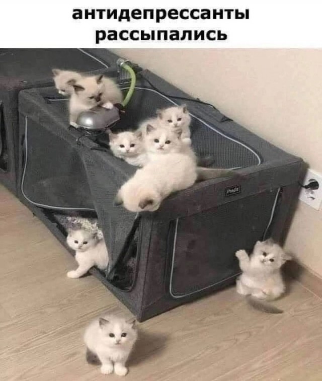 Так себе картинки 04.09.24