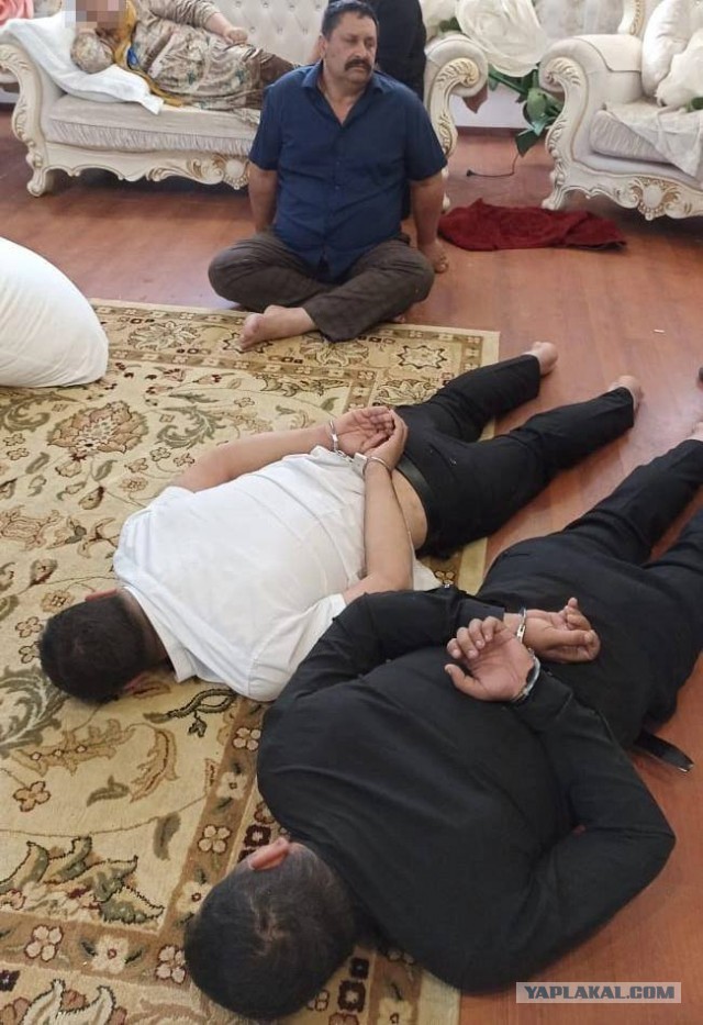 Под Волгоградом цыгнане, во время свадьбы, устроили конфликт с полицией. Теперь они задержаны и извиняются